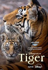 فیلم ببر Tiger 2024