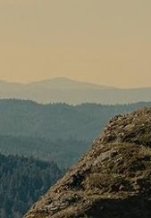 فیلم غروب ساسکواچ‌ Sasquatch Sunset 2024